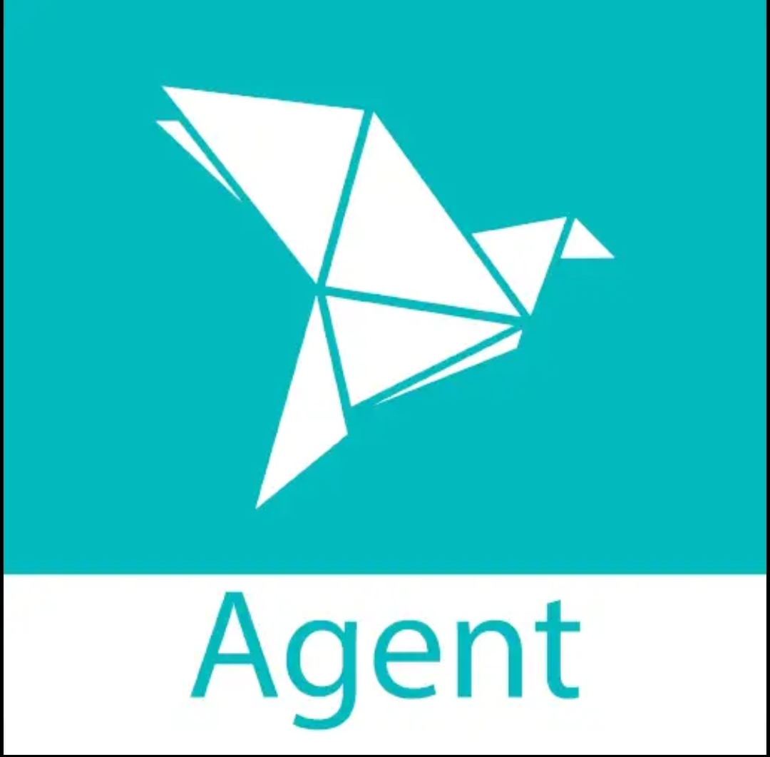 Bkash Agent